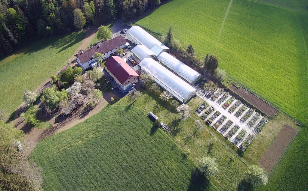 Erstklassiges Blumengeschäft im Bezirk Freistadt