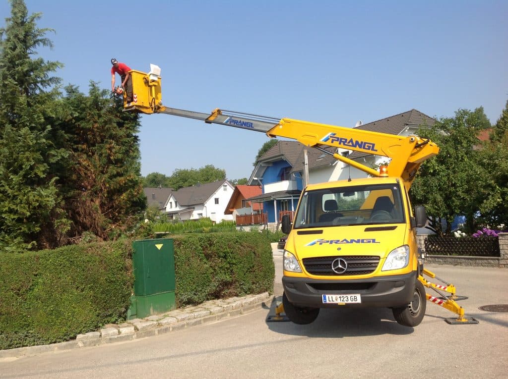 Baumpflege durch erfahrene Fachkräfte im Bezirk Freistadt