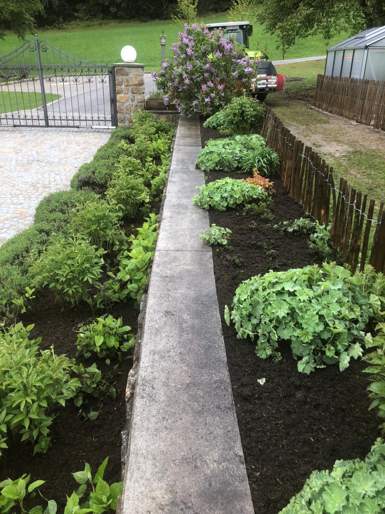 Vorteile von einer Gartenpflege vom Profi in Freistadt